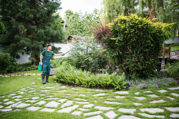 Best Local Pest Control Services  in Reserve, LA