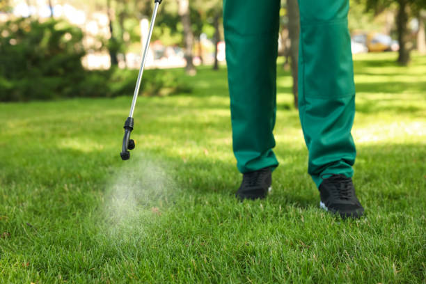 Best Mosquito Control Services  in Reserve, LA