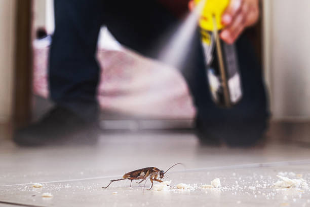 Best Insect Control  in Reserve, LA