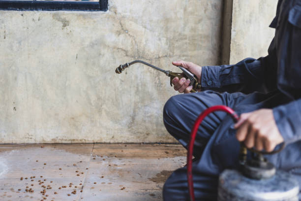 Best Affordable Pest Control Services  in Reserve, LA
